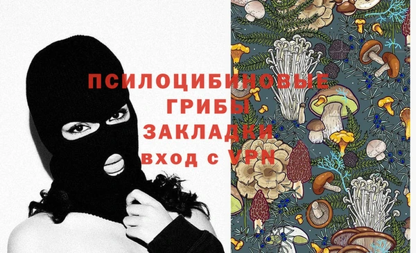 молекула духа Алексин