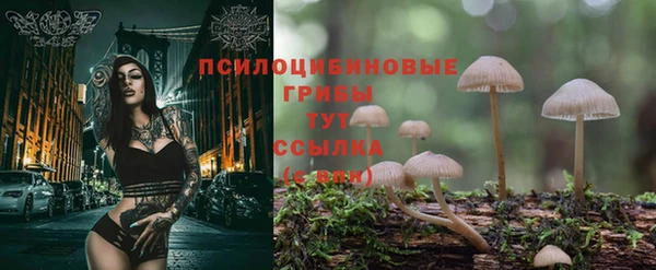 молекула духа Алексин