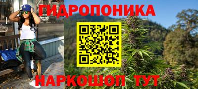 apvp Обнинск