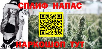 гидропоника Обь